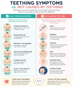 "what symptoms are caused by teething and what are not" 